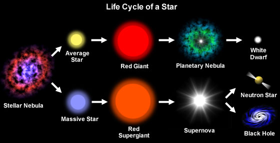 Life Cycle