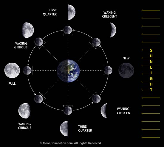 Moon Phases