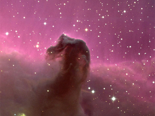 Horse Head Nebula