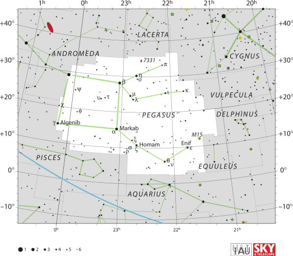 Image of Pegasus